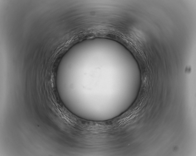 X0000096490772200801241209