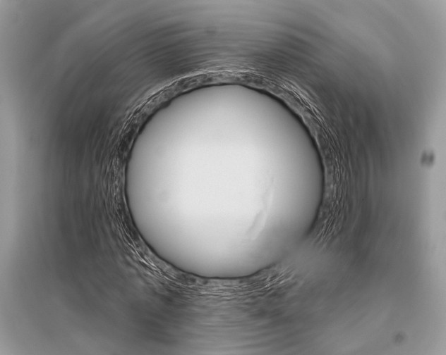 X0000096490773200801241209