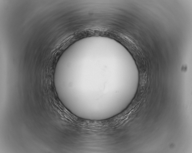 X0000096490774200801241209