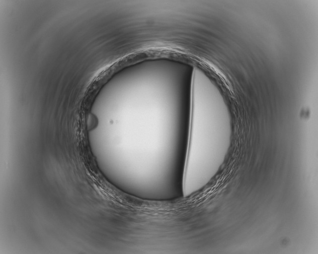 X0000096490775200801241209