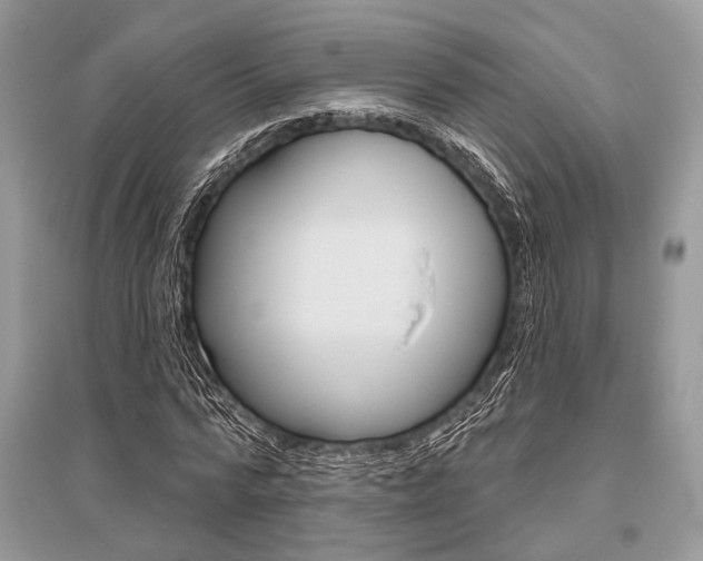 X0000096490776200801241209
