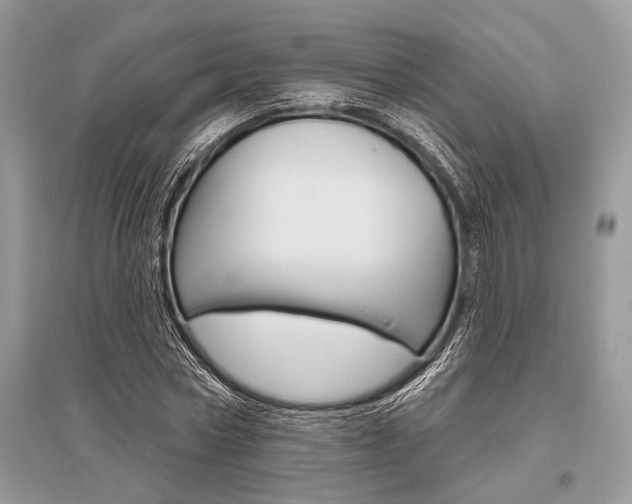 X0000096490778200801241209