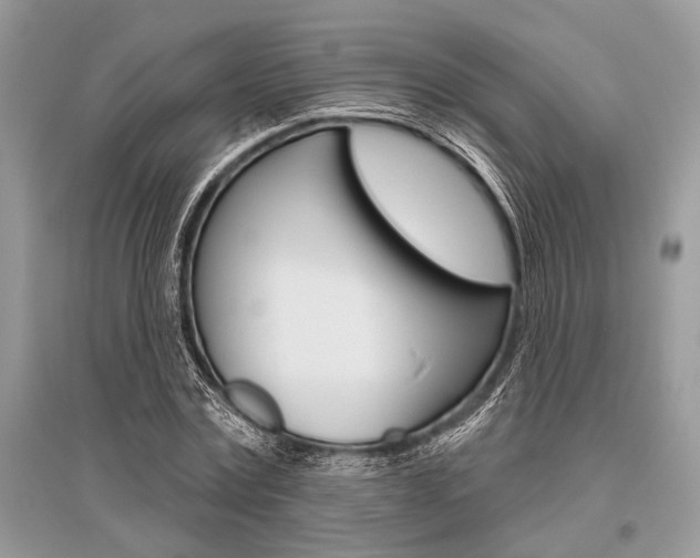 X0000096490779200801241209