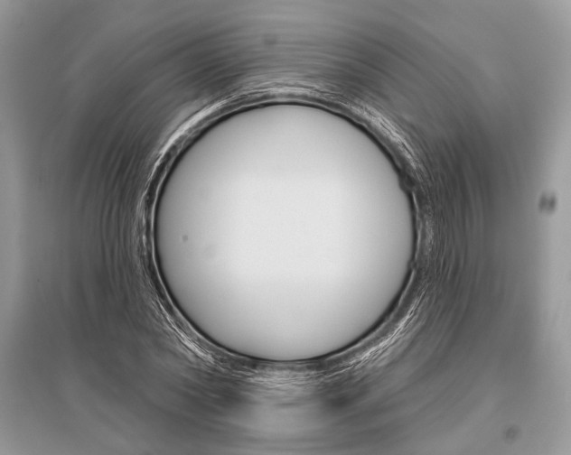 X0000096490782200801241209