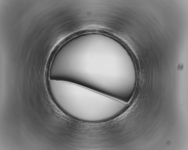 X0000096490783200801241209