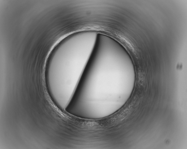 X0000096490784200801241209