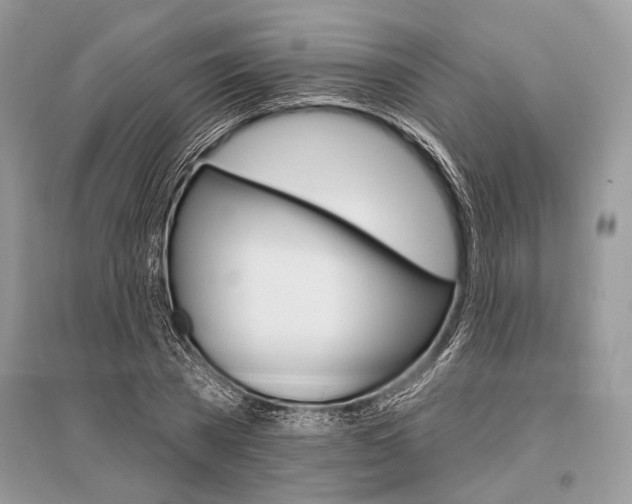 X0000096490785200801241209
