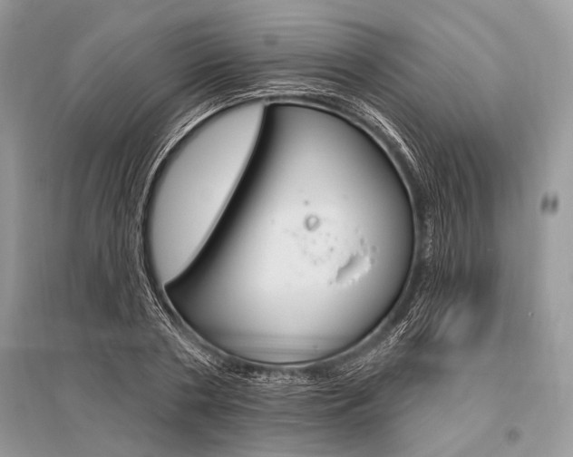 X0000096490786200801241209