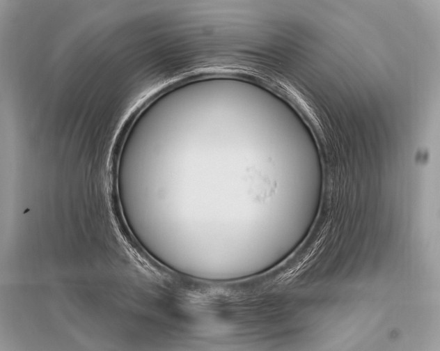 X0000096490787200801241209