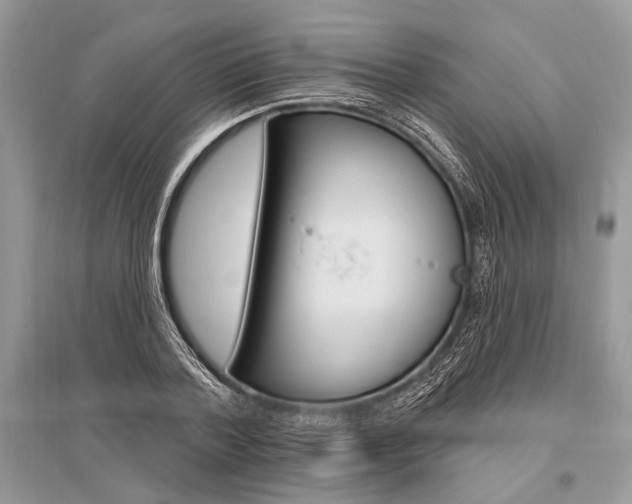 X0000096490788200801241209