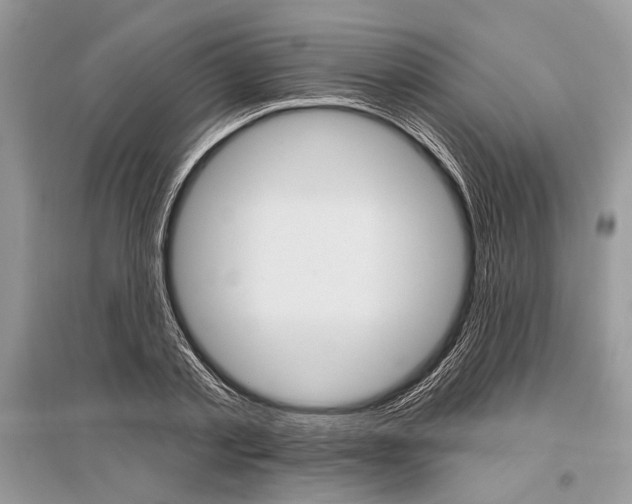 X0000096490789200801241209