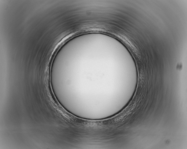 X0000096490790200801241209