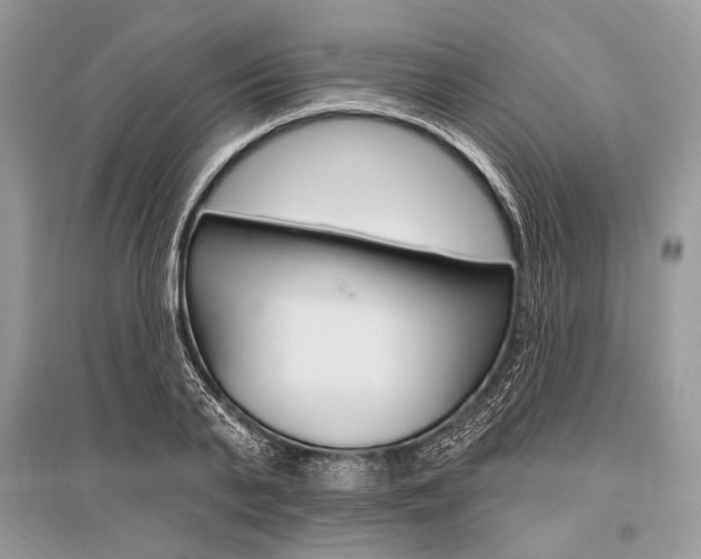 X0000096490791200801241209