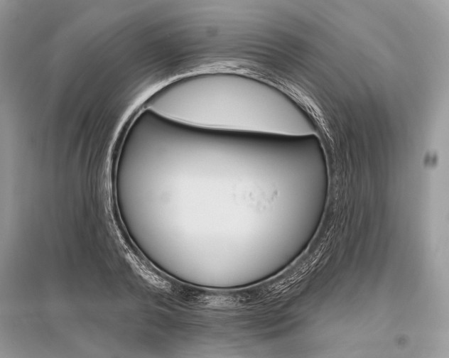 X0000096490792200801241209