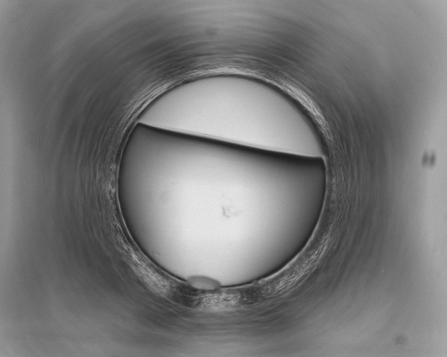 X0000096490793200801241209