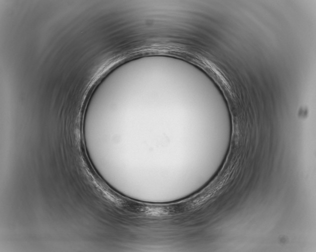X0000096490794200801241209