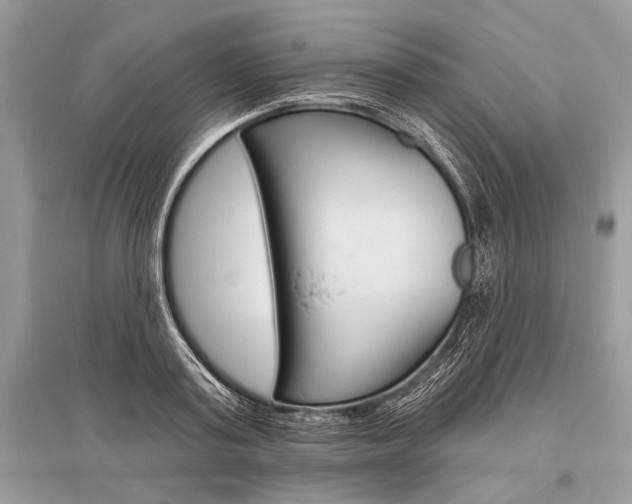 X0000096490795200801241209