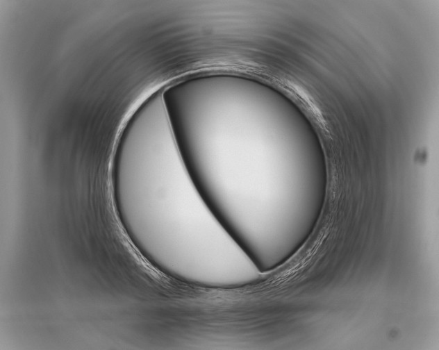 X0000096490796200801241209