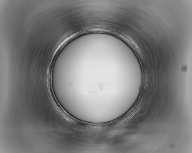 X0000096490798200801241209