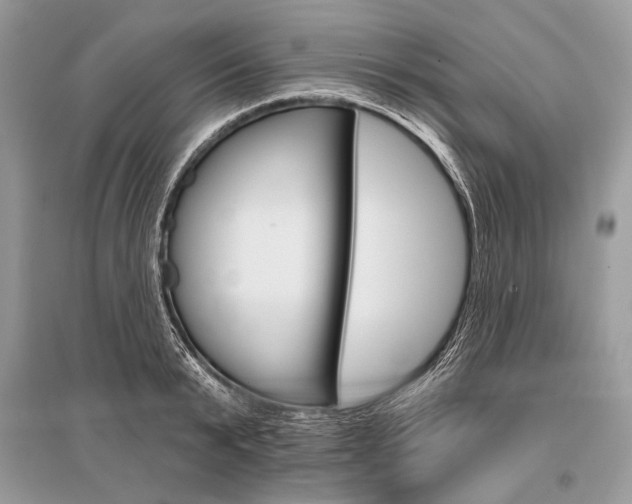 X0000096490799200801241209