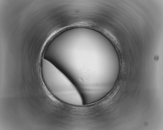 X0000096490800200801241209