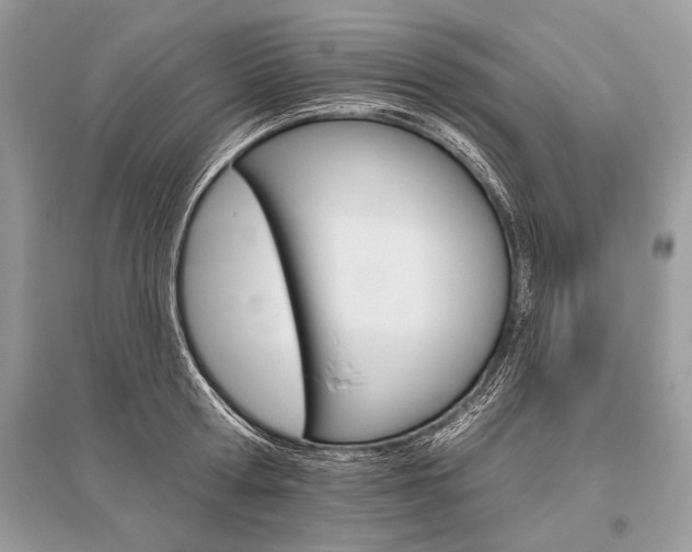 X0000096490802200801241209