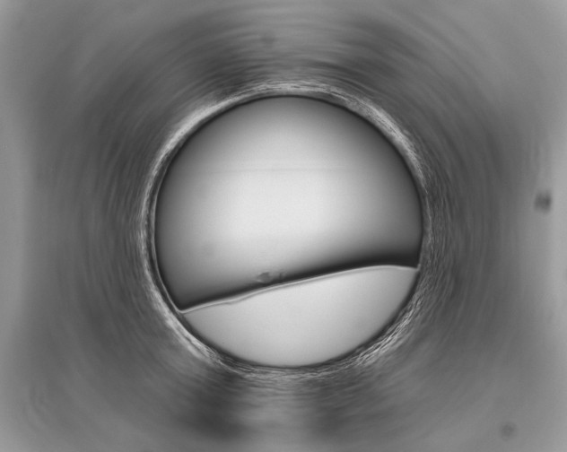 X0000096490803200801241209