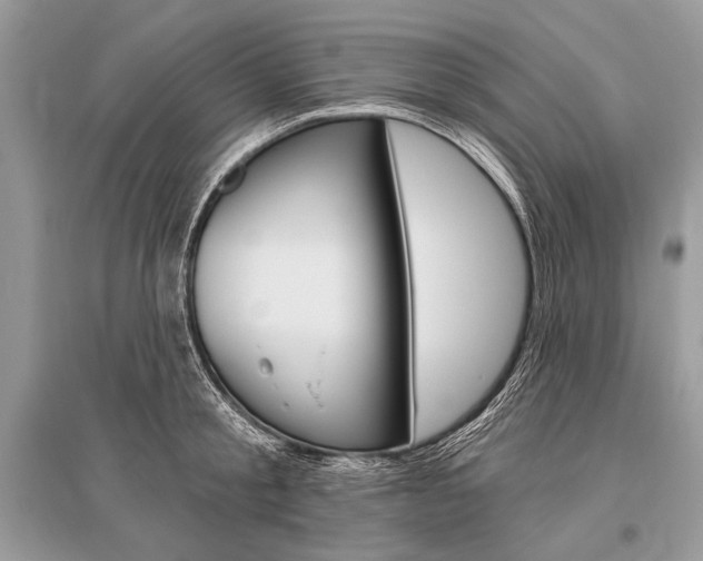X0000096490805200801241209