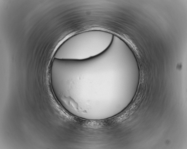 X0000096490806200801241209