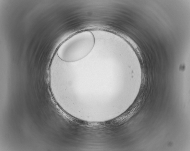 X0000096490807200801241209