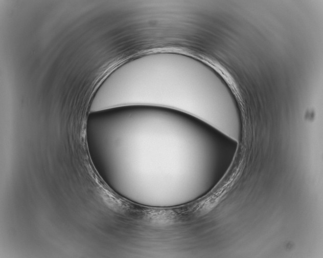 X0000096490809200801241209