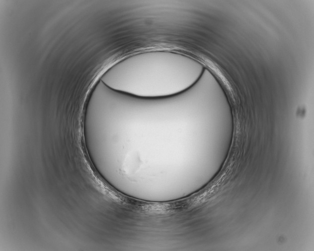X0000096490810200801241209