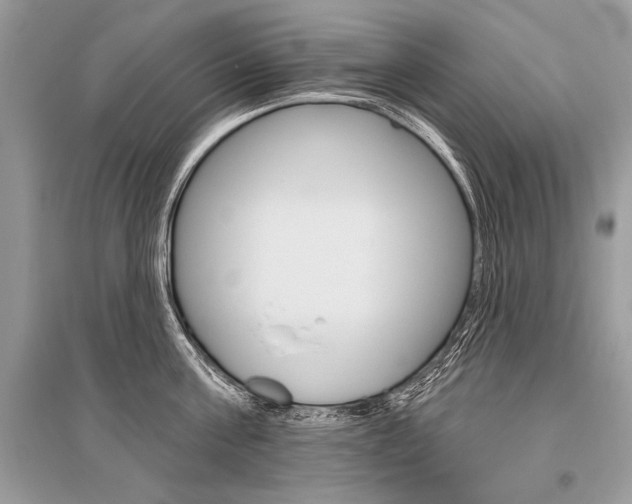 X0000096490811200801241209