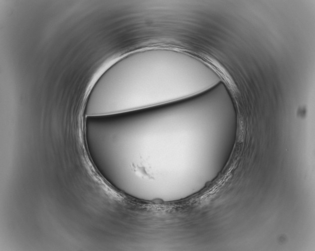 X0000096490812200801241209