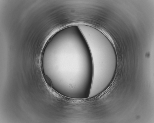 X0000096490813200801241209