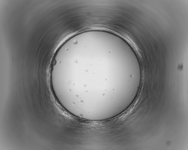 X0000096490814200801241209