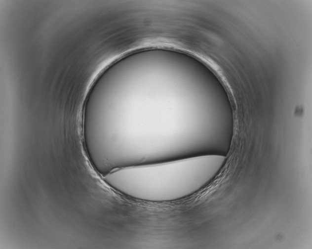 X0000096490815200801241209