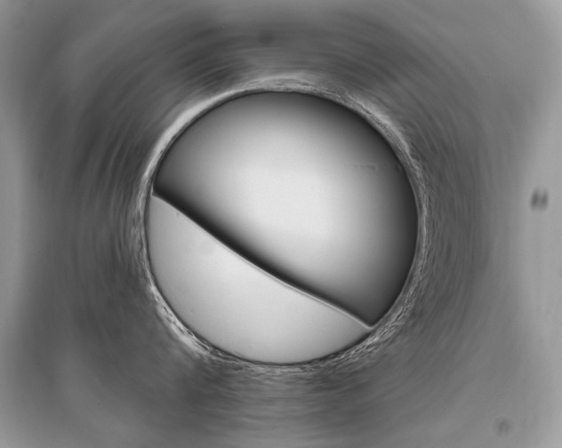 X0000096490816200801241209