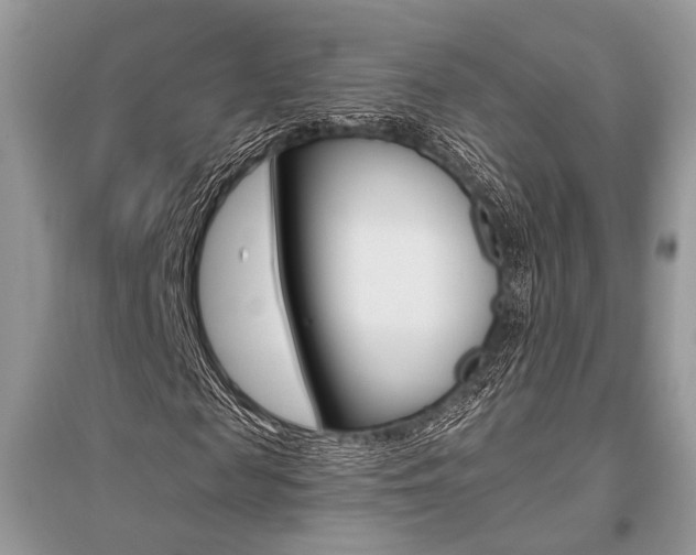 X0000096490817200801241208