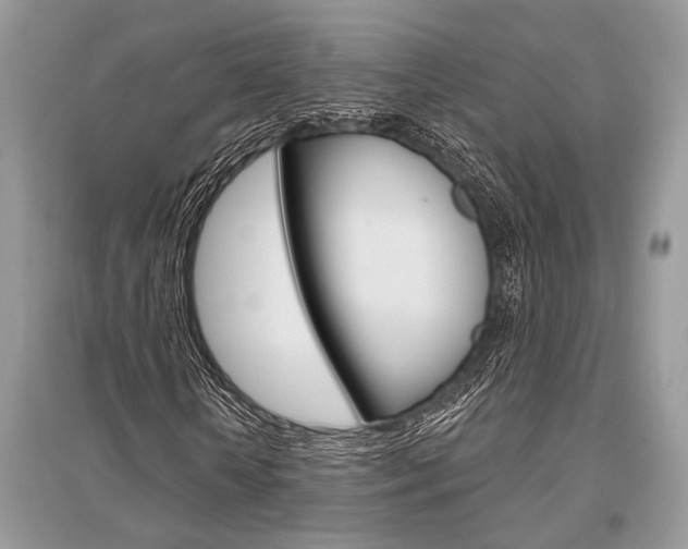 X0000096490818200801241208