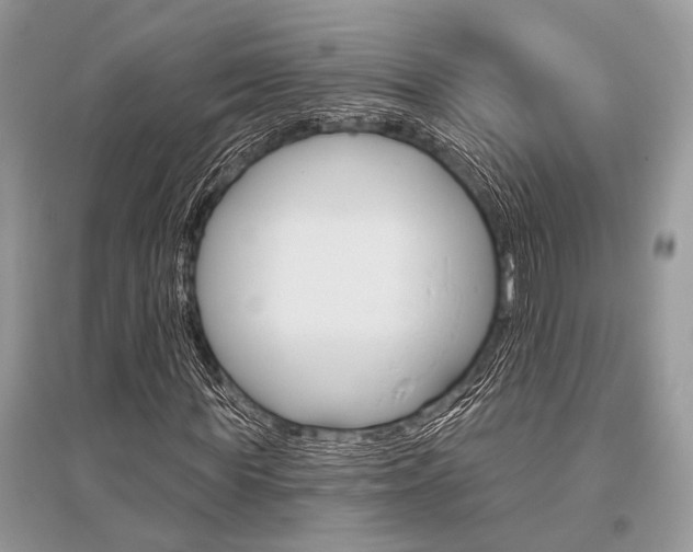 X0000096490819200801241208