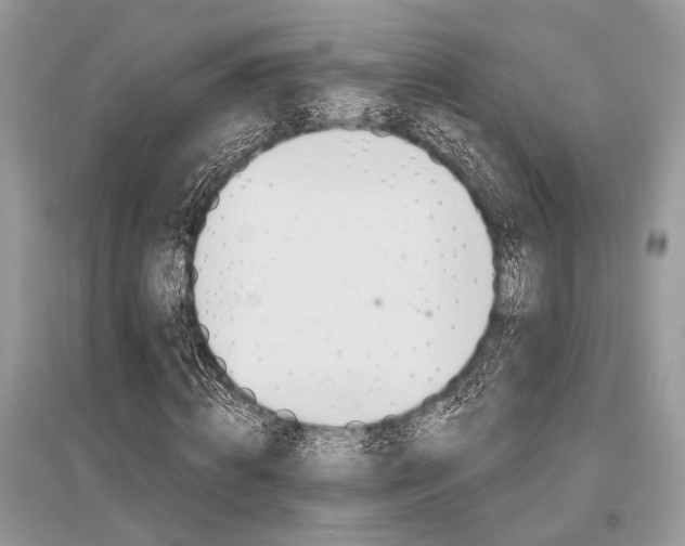 X0000096490820200801241208