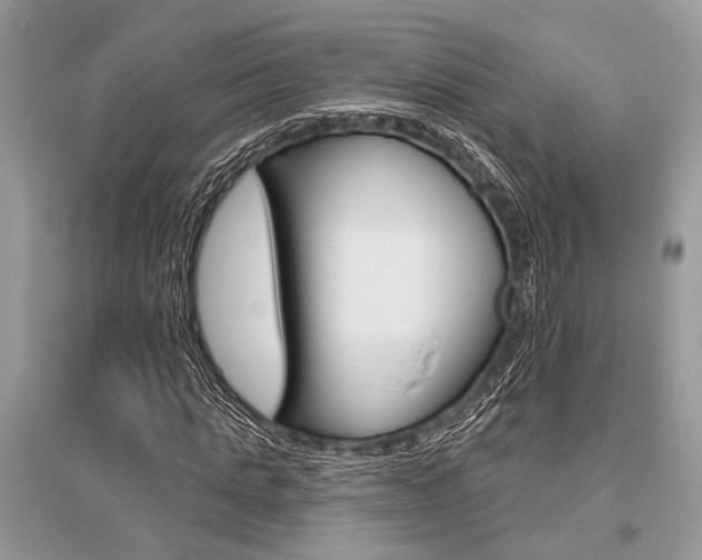X0000096490821200801241208
