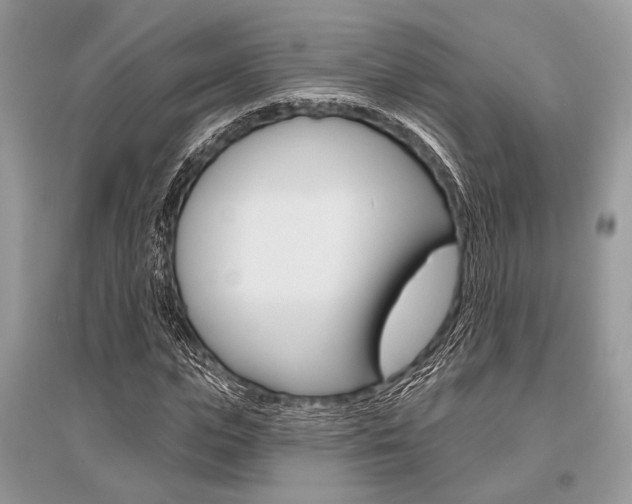 X0000096490823200801241208