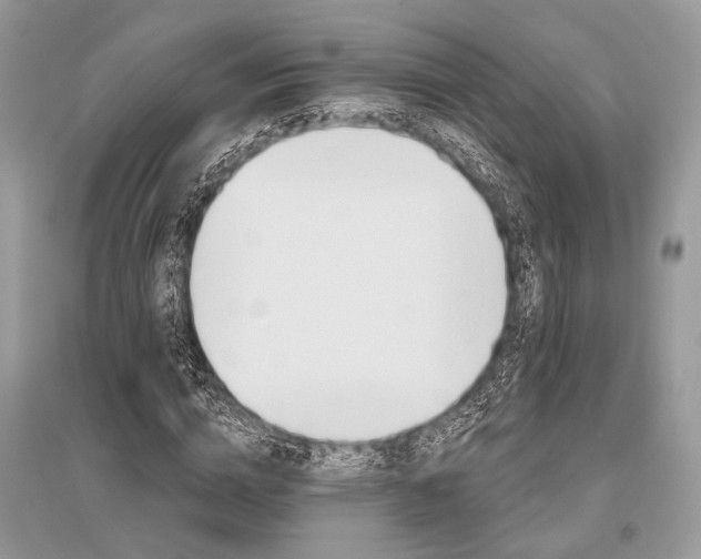 X0000096490824200801241208