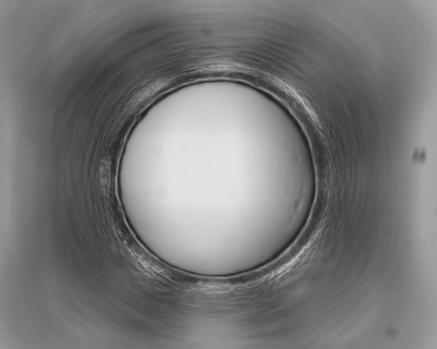X0000096490825200801241208
