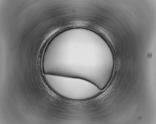 X0000096490827200801241208