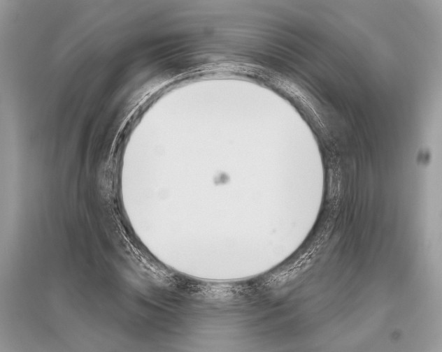 X0000096490828200801241208