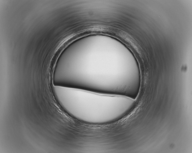 X0000096490829200801241208