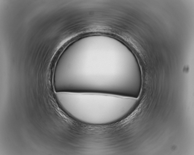 X0000096490830200801241208